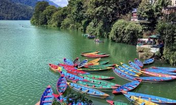 m_Phewa_Lake_1_l_461_640